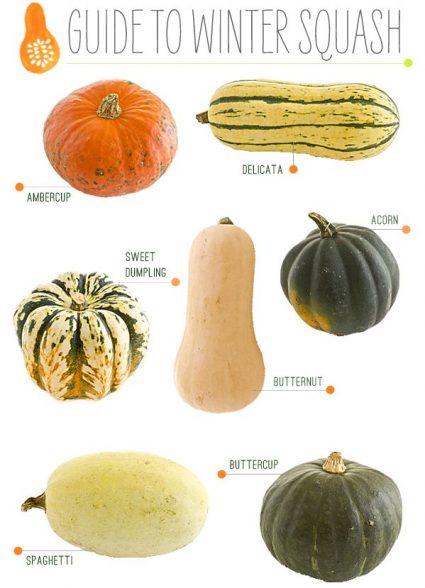 Image of a guide to winter squash