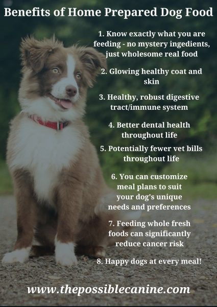 Image of dog and a list of the benefits of home prepared dog food