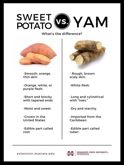 Image showing nutritional value comparison between sweet potato and yam