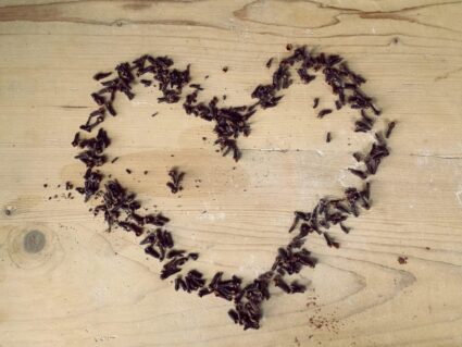 heart shape arranged of cloves