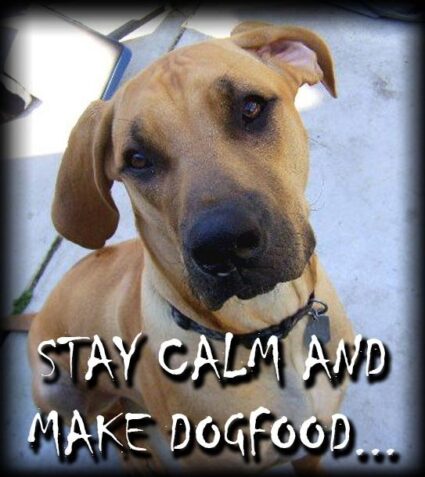 stay calms and make dog food image