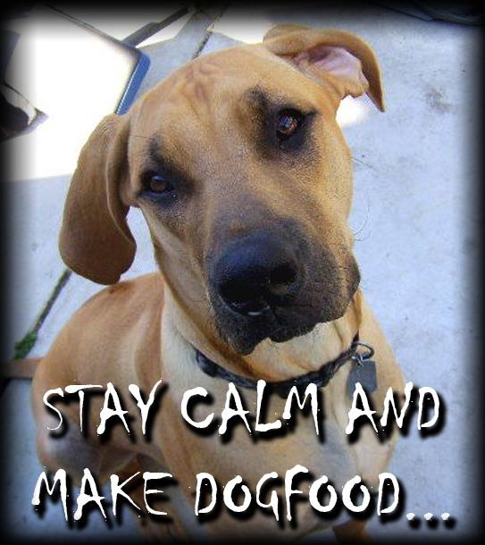 stay calms and make dog food image