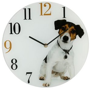 Phone Consultation - Dog On Clock