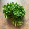 Chickweed