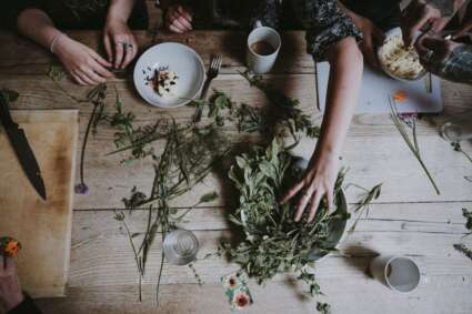 Pictures of some people working with herbs on a table