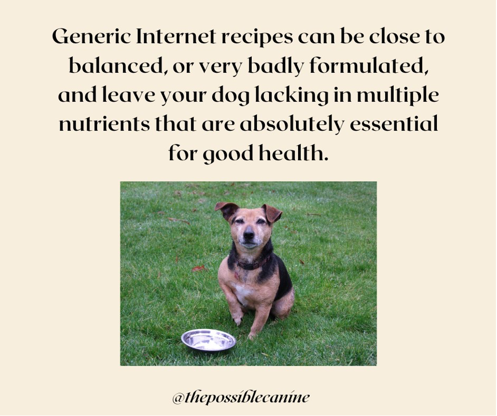 Infographic about internet based recipes for dogs